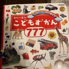 こども図鑑✨777&415 の写真・英語つき❤️