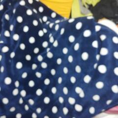 ブルードット柄毛布