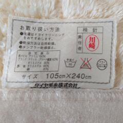 使用頻度少なめ プラチナ繊維毛布・敷きパッドの画像