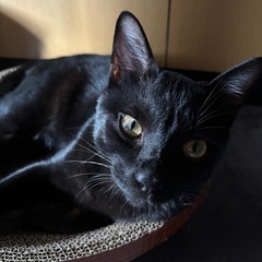 ヤンチャな男の子
