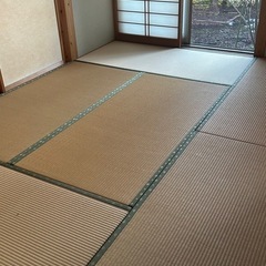 6畳　たたみ　美品　江戸間サイズ