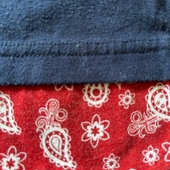 重ねてもかわいいペイズリー100の画像