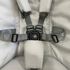 お譲り先決定】ママルー5