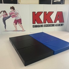 セーフティマット増設しますた！