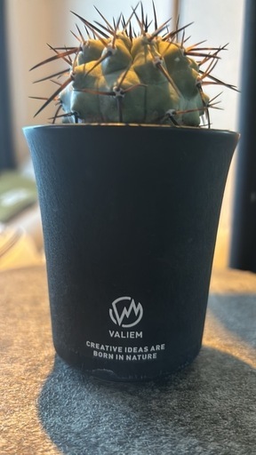 黒王丸 バリエム