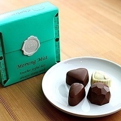 プラリネ・モーニングミスト4入　10箱ロット　ベルギーのチョコ