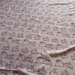 ひんやりブランケット　スヌーピーの画像