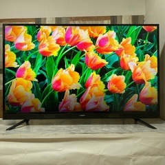 即日受渡❣️マクスゼン55型液晶テレビフロントスピーカーWチュー...