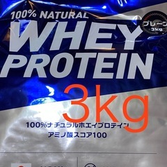 プロテイン プレーン 大容量 3kg エクスプロージョン