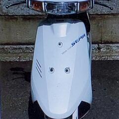 小柄軽量と高馬力なクオリティー良い原付の画像