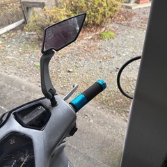 リード100の画像