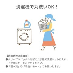 チェアベルトの画像