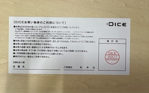 川崎ダイス お買い物券 11000円分 【公式通販】