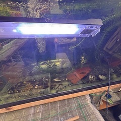 水槽用ledライト450