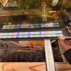 水槽用ledライト600の画像