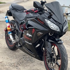 ニンジャ250