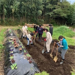 自然農法で美味しい野菜を作ろうの画像