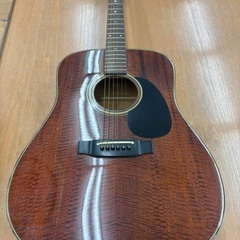 【Takamine】アコースティックギターPT-206・ハードケ...