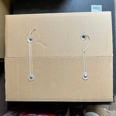 背筋力計　300kg スタンダード型QS　の画像