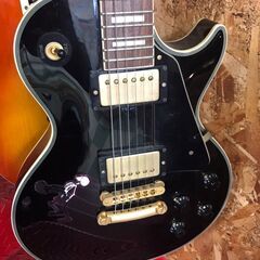 BURNY バーニー エレキギター レスポールカスタム 音出しOK ジャングル