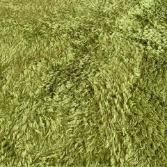 B-COMPANY シャギーラグの画像