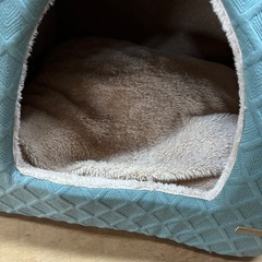決まりました！
犬　猫　ぽかぽかペットハウス　の画像