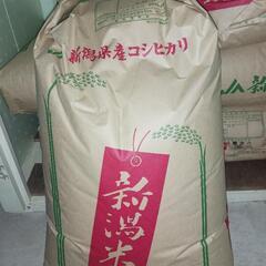  [再販] 令和6年度新潟産コシヒカリ　玄米30キロ
