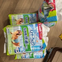 マナーウェア　厚手タイプ　長時間オムツ　男の子　S
