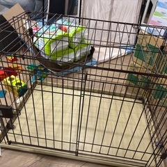 スターターセット　ケージ　トイレ　小型犬　男の子　シャンプー　の画像