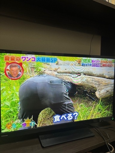TOSHIBA 32型　液晶テレビ