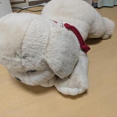 うめ吉　ベージュ　Ｌの画像