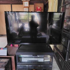 テレビ