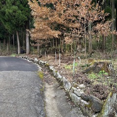 決定‼️山林  西原村(椎茸栽培)別荘/キャンプ🏕️ - 不動産