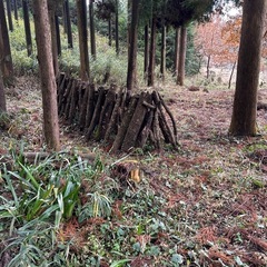 決定‼️山林  西原村(椎茸栽培)別荘/キャンプ🏕️ − 熊本県