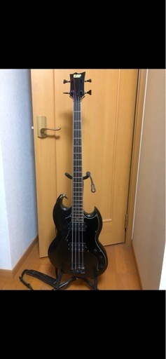 ESPのVP-250BM