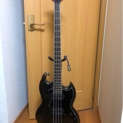 ESPのVP-250BM