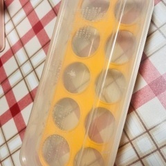 たまごケース　１０個用　1個の画像