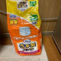 大人用紙パンツLからL L