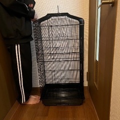 小動物ケージの中古が安い！激安で譲ります・無料であげます