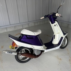 ペリカンジョグの画像