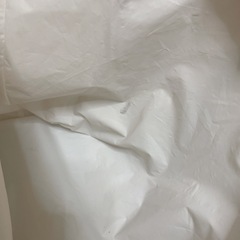 コストコ保冷バッグ 大容量サイズの画像