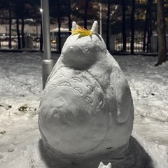 韓国・アメリカなどに住みたいフットワーク軽い女性大募集！！ - 福岡市