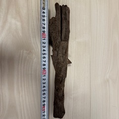 【大特価セール中】極上アクアリウム用流木1の画像