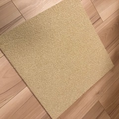 【30枚セット】サンゲツ タイルカーペット 40×40