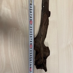 決定　アクアリウム用流木2の画像