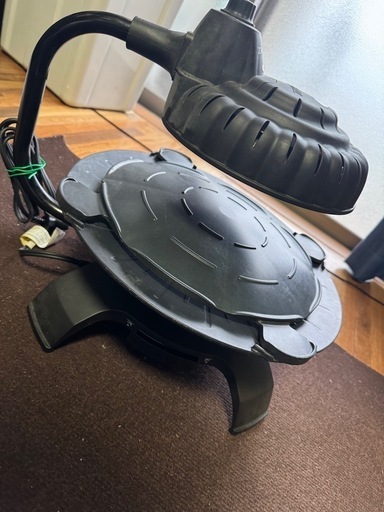 ザイグルボーイ