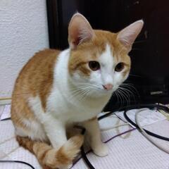 甘えん坊さん