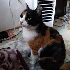 おっとり甘えん坊さん