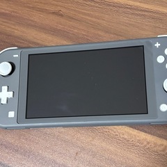 Nintendo Switch Lite - 
グレー