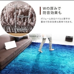 ボリューム　グラデーションラグの画像